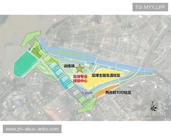 足球赛事中的战略规划与技术投入