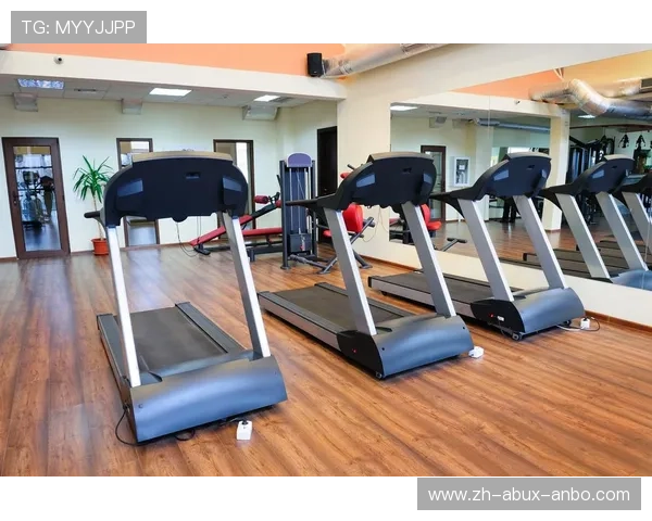 高效燃脂：探索最佳健身器材助你快速减肥