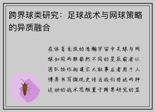 跨界球类研究：足球战术与网球策略的异质融合